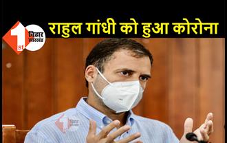 बड़ी खबर : राहुल गांधी को हुआ कोरोना, आइसोलेशन में चल रहा इलाज