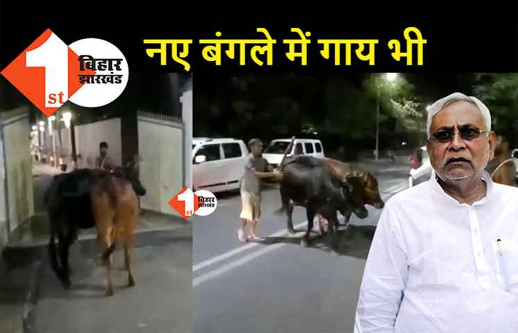 नए बंगले में नीतीश की गायें भी लाई गईं, आज 7 सर्कुलर में पहली रात
