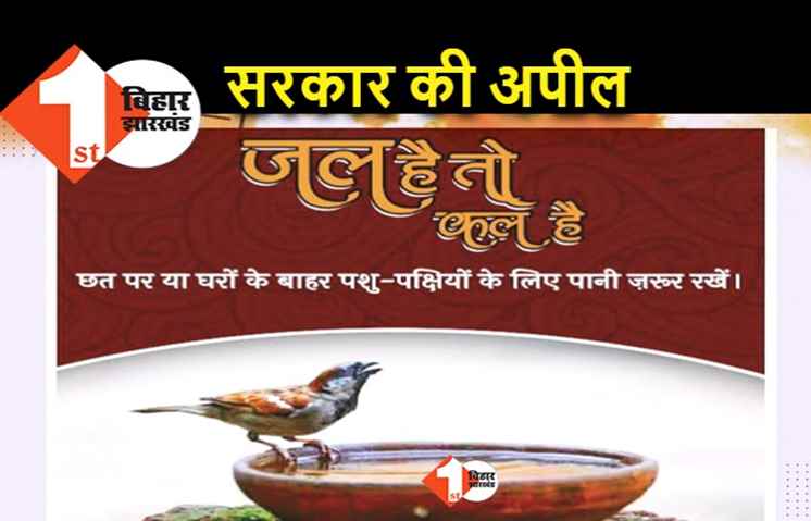 तपती गर्मी में सरकार ने की अपील.. प्यासे परिंदों के लिए छतों पर और बालकनी में रखें पानी