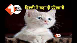 catagory