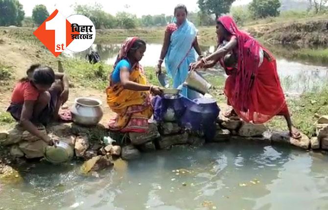 तमाड़ विधायक के पैतृक गांव का हाल देखिये..ग्रामीण और मवेशी दोनों एक ही डोभा का पीते हैं पानी