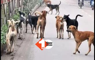 बिहार : आवारा कुत्तों का आतंक, दो दर्जन से अधिक लोगों को काटकर किया जख्मी