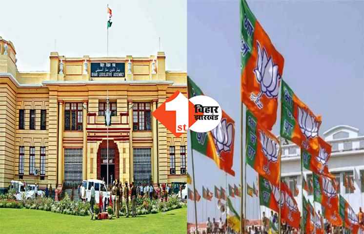 दूसरे नंबर पर गई नीतीश की JDU, काउंसिल में भाजपा बनी सबसे बड़ी पार्टी 