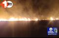 पश्चिम चंपारण में 250 घर जलकर खाक, 2 लोगों की दर्दनाक मौत, वाल्मिकि नगर एयरपोर्ट पर भी अगलगी की घटना