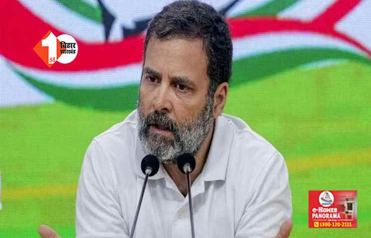 दिल्ली में खेत, गुरुग्राम में करोड़ों की बिल्डिंग, बैंक में हजारों रुपए कैश; जानें कितनी संपत्ति के मालिक हैं राहुल गांधी
