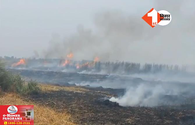 बिहार में आग ने मचाई तबाही, 40 बीघा में लगी गेहूं की फसल जलकर राख