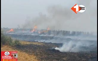 बिहार में आग ने मचाई तबाही, 40 बीघा में लगी गेहूं की फसल जलकर राख
