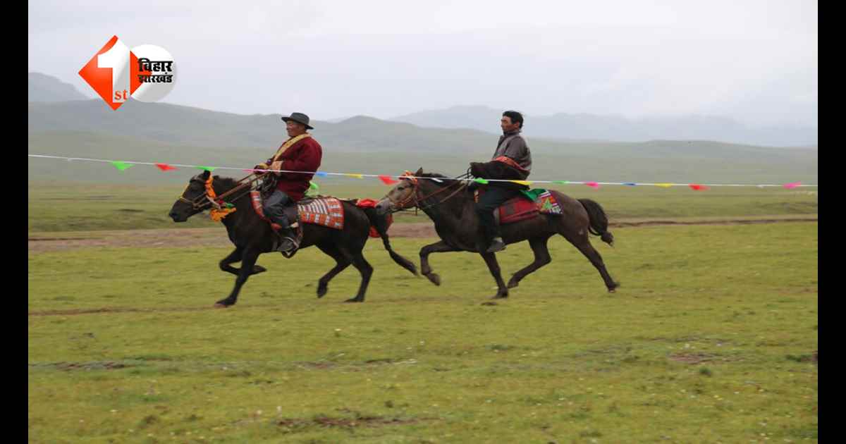 Animal Ride Weight Limit: ज्यादा वजन वालों के लिए अब मुश्किल! इन जगहों पर घूमने पर लगी रोक, जानें क्यों लागू हुआ ये सख्त नियम