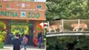 Patna Zoo : हाईटेक हो गया पटना जू ! ई-वाहन, QR कोड और मोबाइल ऐप से पर्यटकों को अब सीधे मिलेगी यह जानकारी; जानिए क्या है पूरा प्लान 