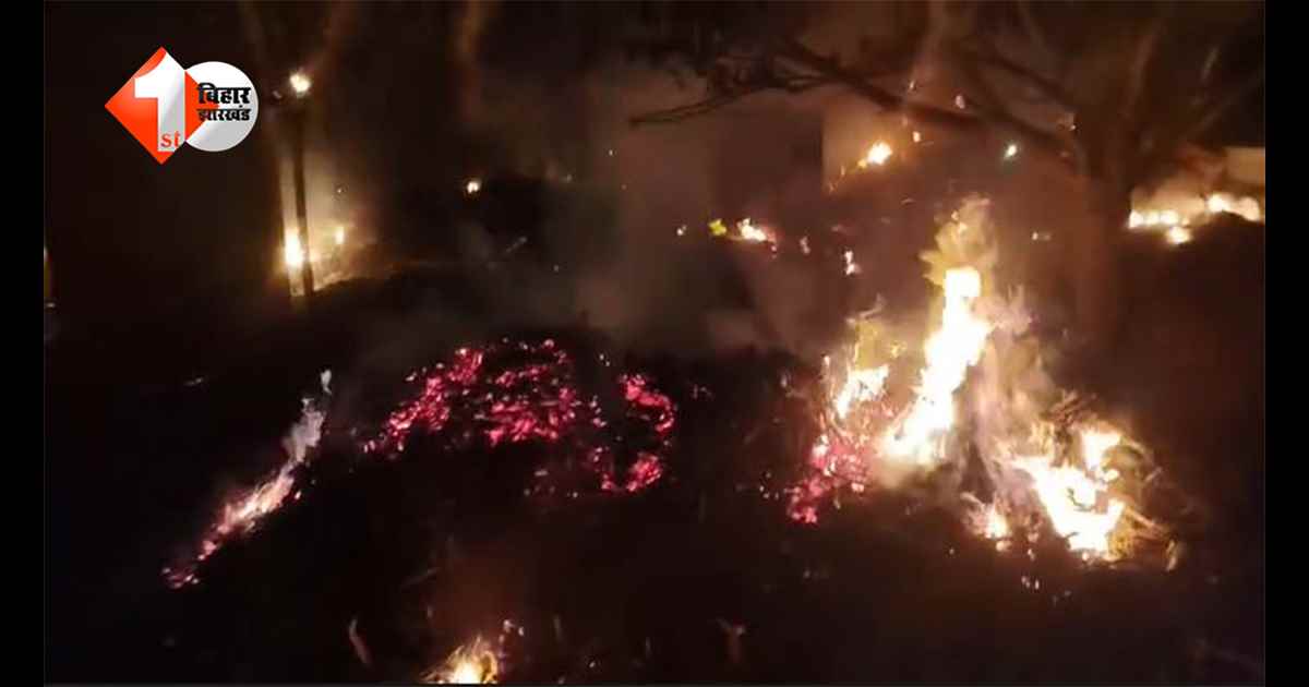 Bihar News: बेतिया में आग का तांडव... रातोंरात दर्जनों घर राख, मवेशी भी जिंदा जले; गांव में मची चीख-पुकार