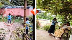 bihar news image