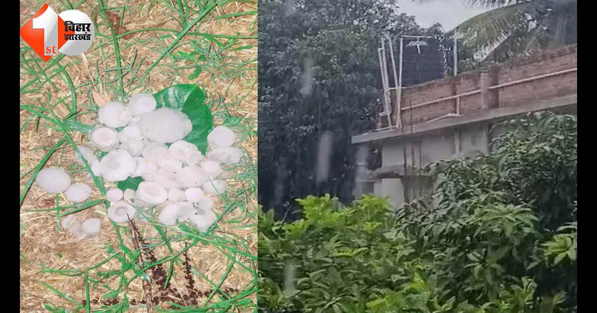 बिहार न्यूज