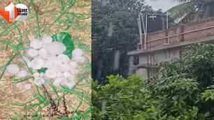 bihar news image