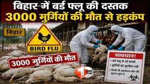 bihar news image