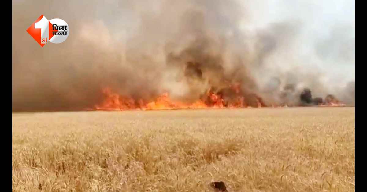बिहार में आग का तांडव: सिवान से नवादा तक जले गेहूं के खेत, सैकड़ों एकड़ की फसल हुई राख