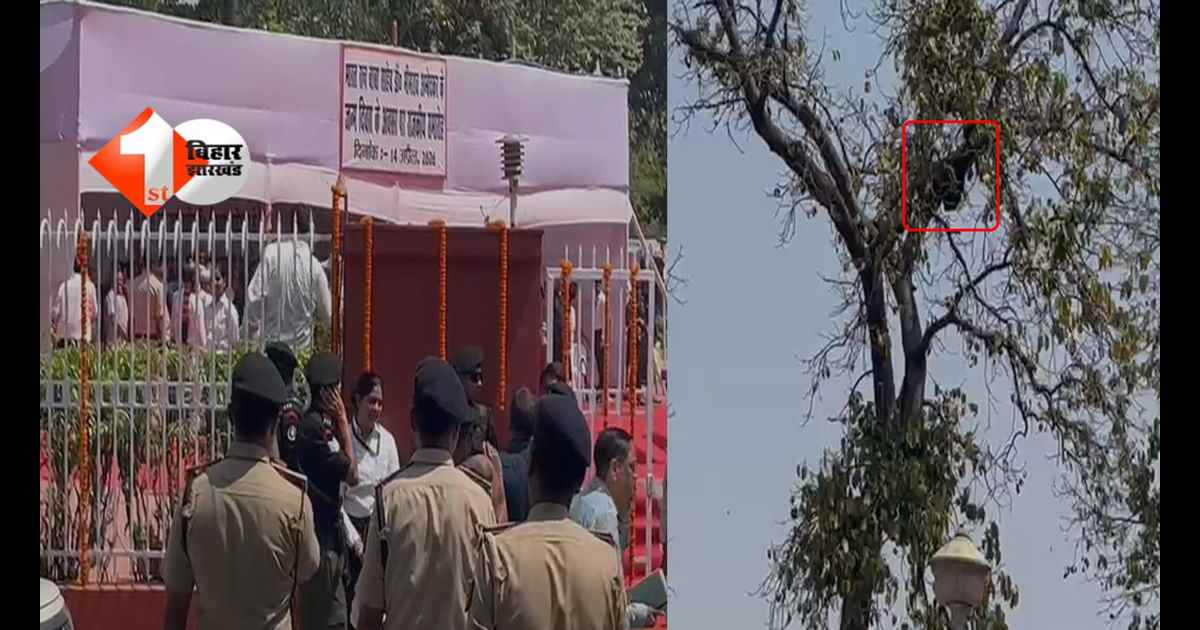 BIHAR NEWS : अंबेडकर जयंती मंच पर अचानक ‘मधुमक्खी अटैक’! नेताओं में भगदड़, कई को मारा डंक; पुलिसकर्मियों ने ताने बंदूक
