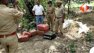 crime news image