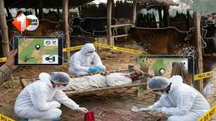 crime news image