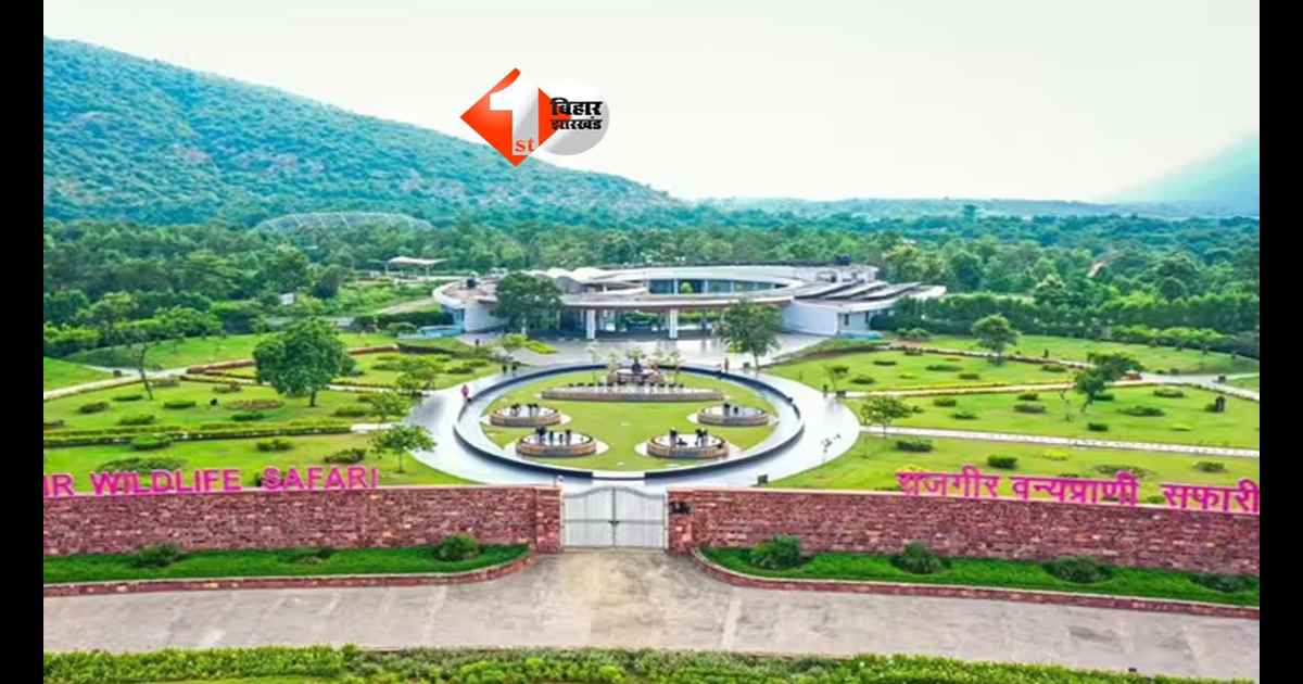 Rajgir Zoo Safari : अब लाइन खत्म! राजगीर सफारी में एक ही पास से मिलेगा पूरा जंगल एक्सपीरियंस, लॉन्च हुआ प्रायोरिटी पैकेज; जानिए क्या है ख़ास 