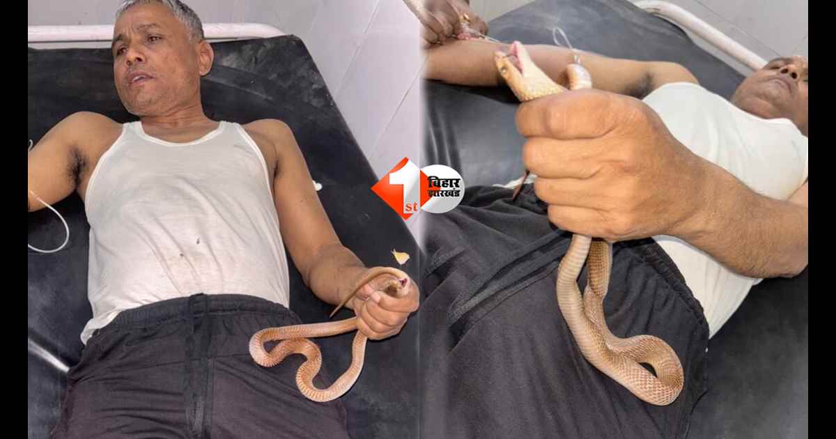 सीने पर गिरा कोबरा, उंगली में डसा… फिर भी जिंदा सांप पकड़कर अस्पताल पहुंचा शख्स; ऐसे बची जान