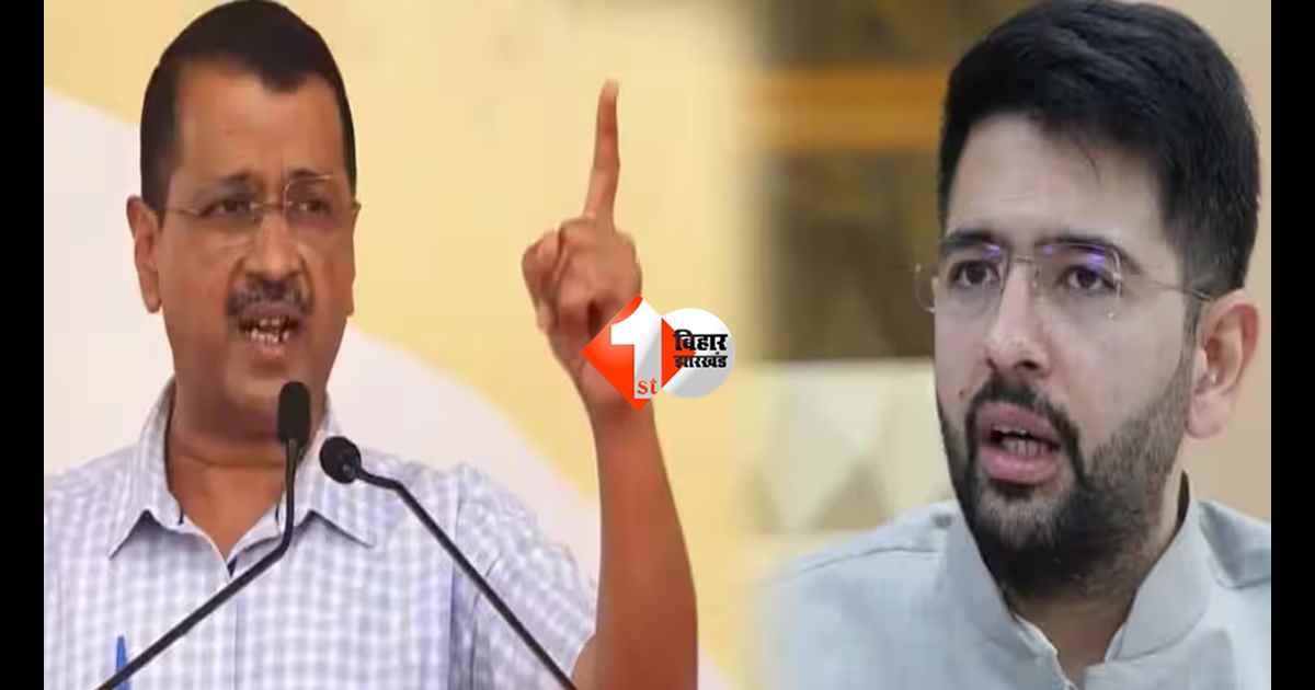 आम आदमी पार्टी में बड़ा सियासी भूचाल… राघव चड्ढा से छीना राज्यसभा उपनेता पद, अशोक कुमार मित्तल को सौंपी गई नई जिम्मेदारी