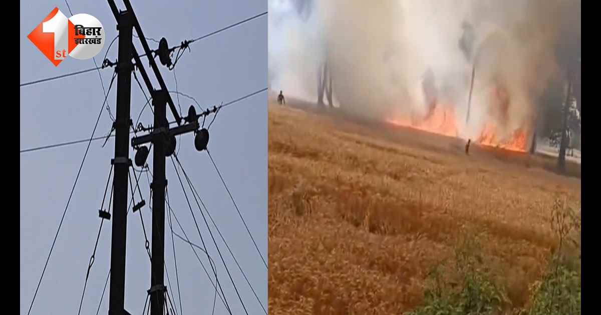 बिहार न्यूज