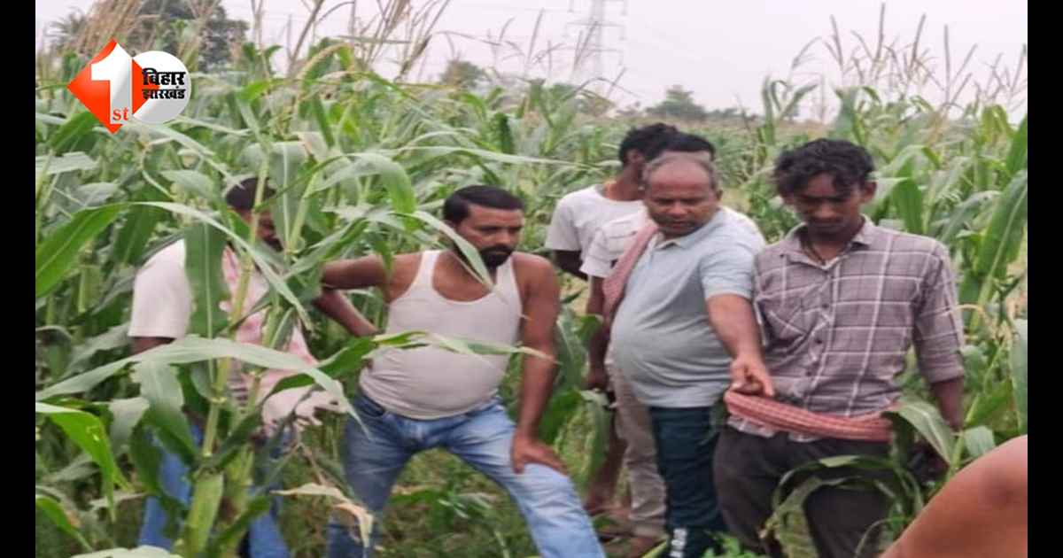 बांका में डबल मर्डर से दहशत: खेत में अर्धनग्न महिला का शव, सड़क किनारे युवक की गोली मारकर हत्या