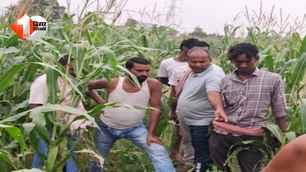 bihar news image