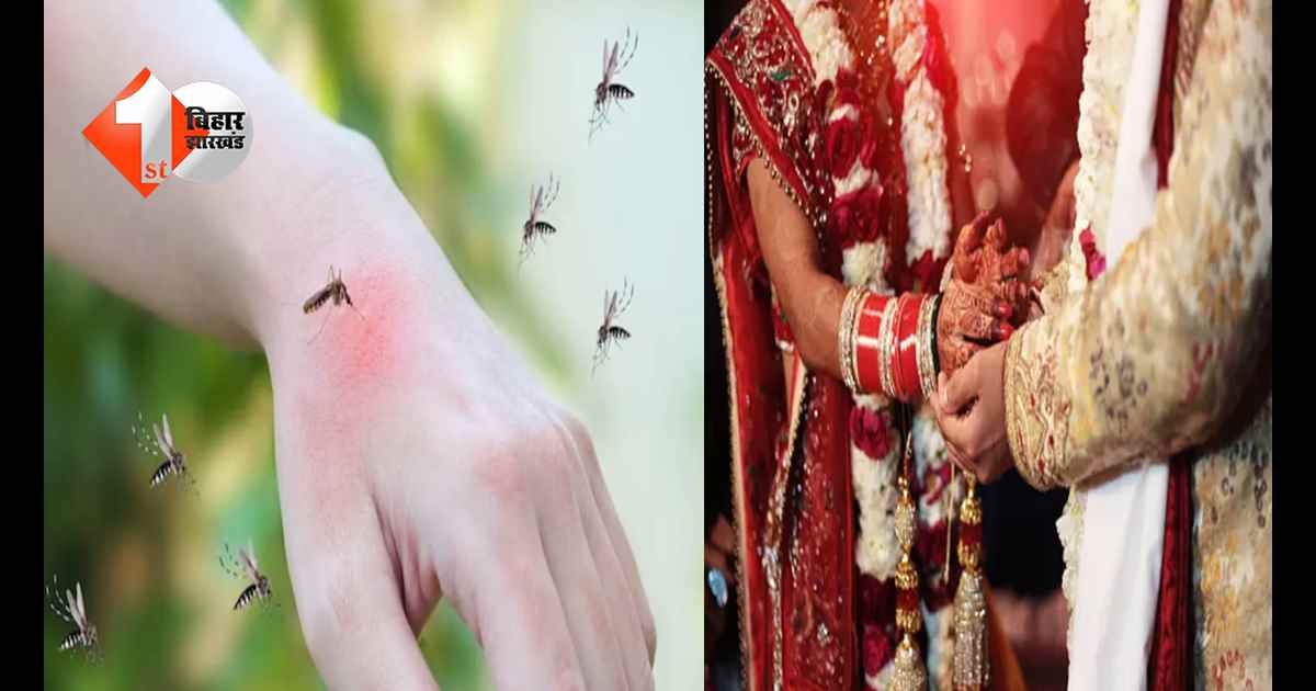 गुजरात न्यूज