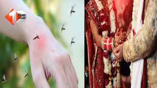 india news image