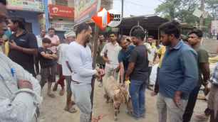 bihar news image