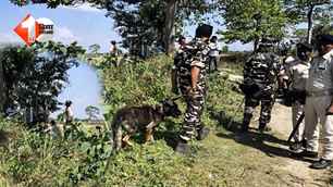 bihar news image