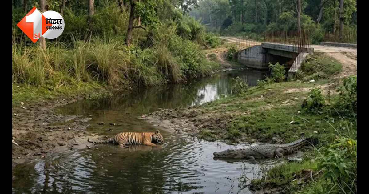बिहार न्यूज