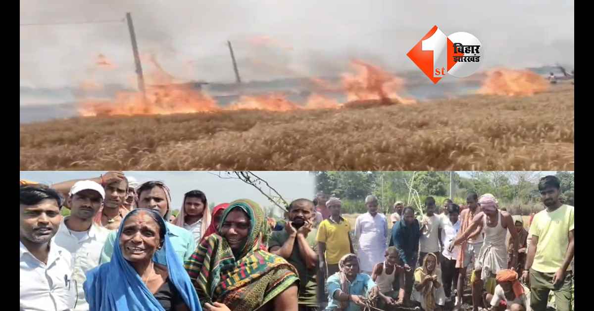 बिहार न्यूज