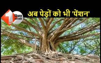75 साल से अधिक उम्र के पेड़ों को अब मिलेगी 'पेंशन', 2500 रुपये सलाना पेंशन देने की योजना