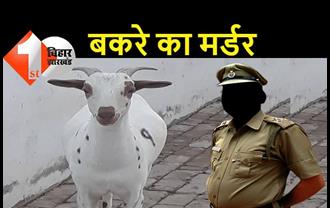 बिहार में बकरे का मर्डर, नशे में धुत युवक ने गर्दन मरोड़कर की हत्या, पुलिस ने पोस्टमार्टम के बाद भेजा जेल 
