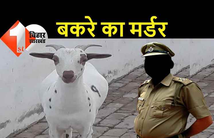 बिहार में बकरे का मर्डर, नशे में धुत युवक ने गर्दन मरोड़कर की हत्या, पुलिस ने पोस्टमार्टम के बाद भेजा जेल 