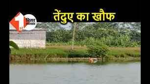 catagory