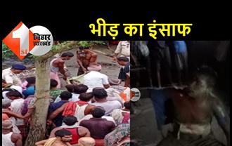 बिहार : चोर की मॉब लिंचिंग, बैल चुरा रहे युवक को भीड़ ने पीटकर मार डाला