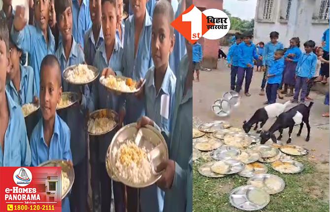 बिहार में मिड डे मील का बूरा हाल! चावल में चूहे का शौच मिलने के बाद हंगामा, बच्चों ने कूड़े पर फेंका मध्याह्न भोजन