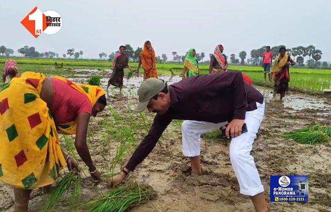 जूता उतारकर खेत में पहुंचे जमुई के डीएम, महिलाओं के साथ करने लगे धान की रोपनी