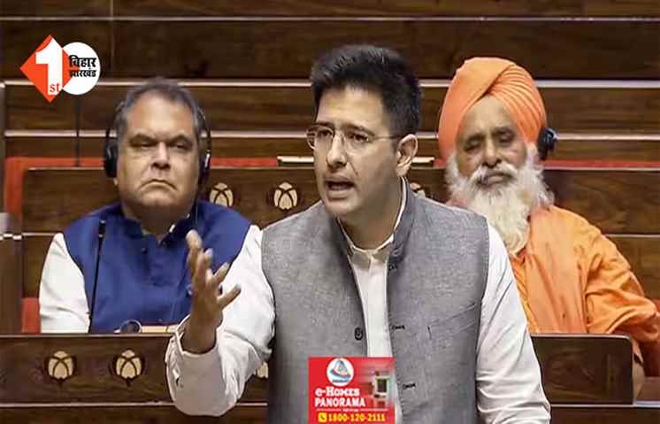 '25 साल से घटाकर 21 साल हो चुनाव लड़ने की आयु ...',  राज्यसभा में AAP सांसद ने सरकार से कर दी बड़ी डिमांड 