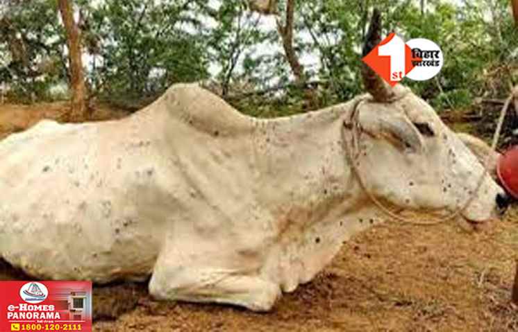 Bihar News 