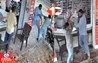  Bihar News 