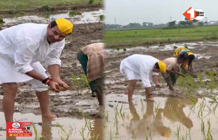 Bihar