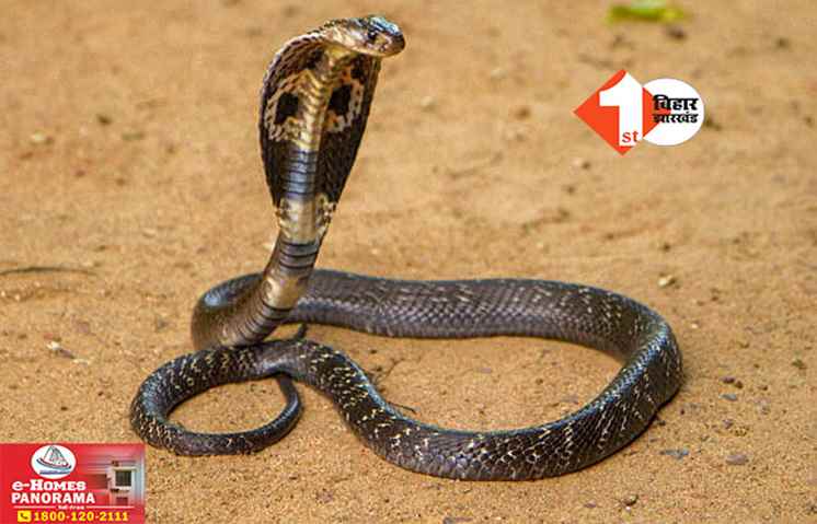 Bihar News