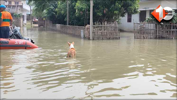 Bihar News