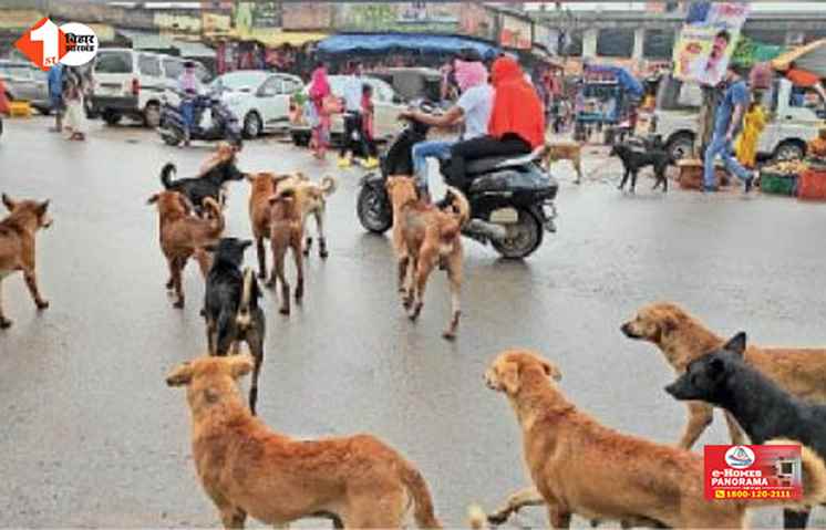Bihar