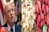 Trump Tariff: अमेरिका को बिहार से 250 करोड़ रुपये का निर्यात खतरे में, नए शुल्क से प्रभावित होगा व्यापार