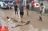 Bihar News